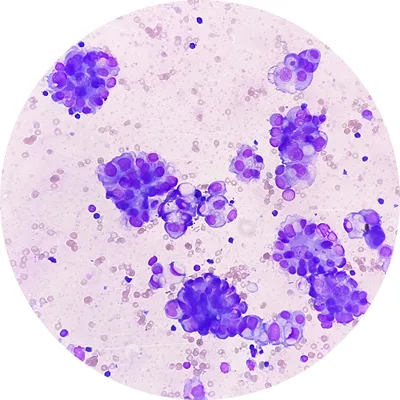 ASCE+ Exosomes Dubai 8 exosome cell