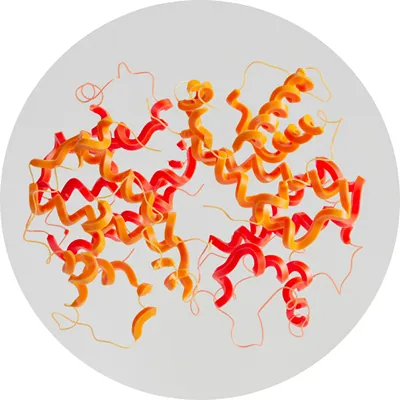 ASCE+ Exosomes Dubai 10 amino acids